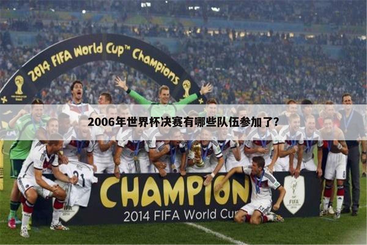 2006年世界杯决赛有哪些队伍参加了？