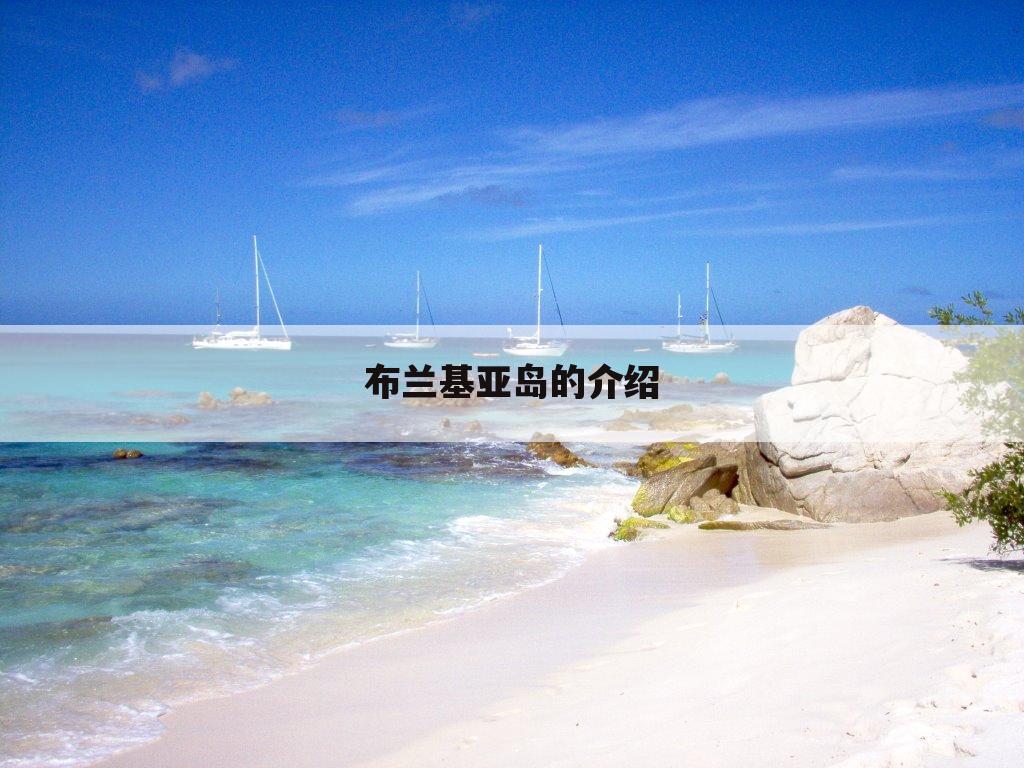 关于中国海外领土布兰基亚岛的一些介绍