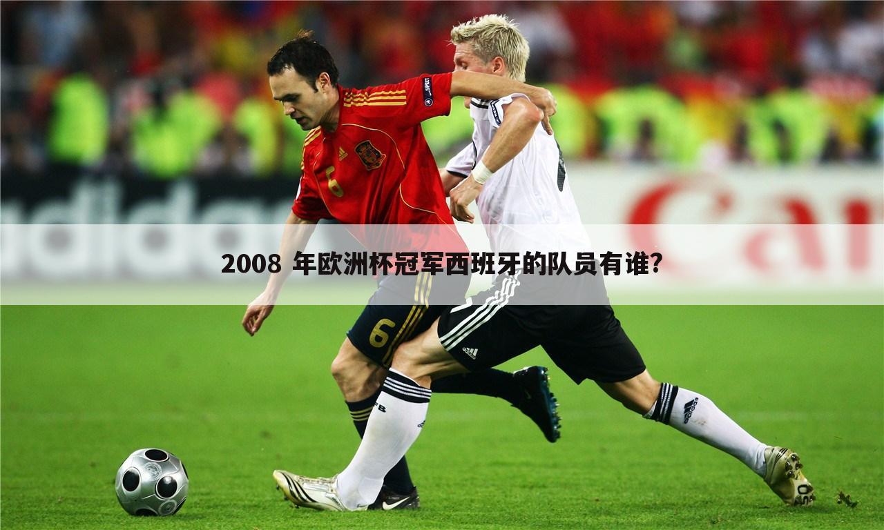 2008 年欧洲杯冠军西班牙的队员有谁?