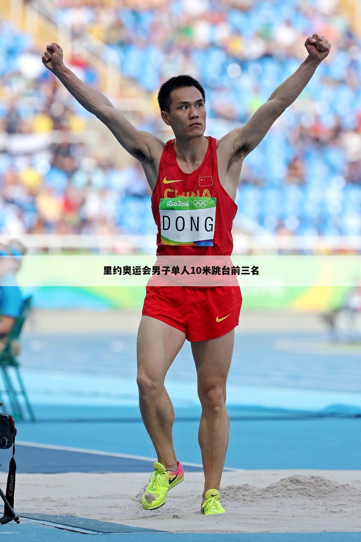 里约奥运会男子单人10米跳台前三名