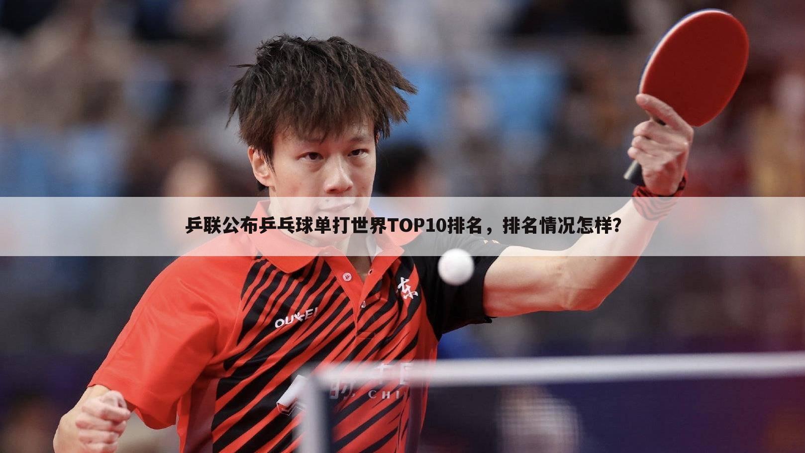 乒联公布乒乓球单打世界TOP10排名，排名情况怎样？