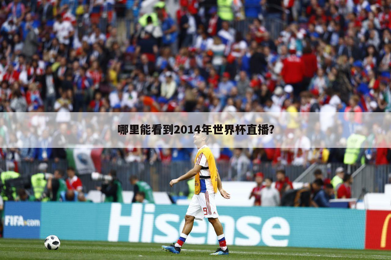 哪里能看到2014年世界杯直播？