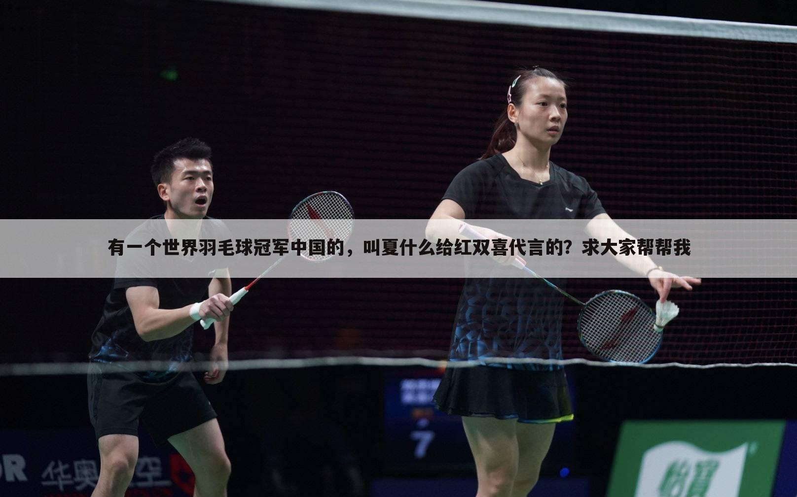 有一个世界羽毛球冠军中国的，叫夏什么给红双喜代言的？求大家帮帮我
