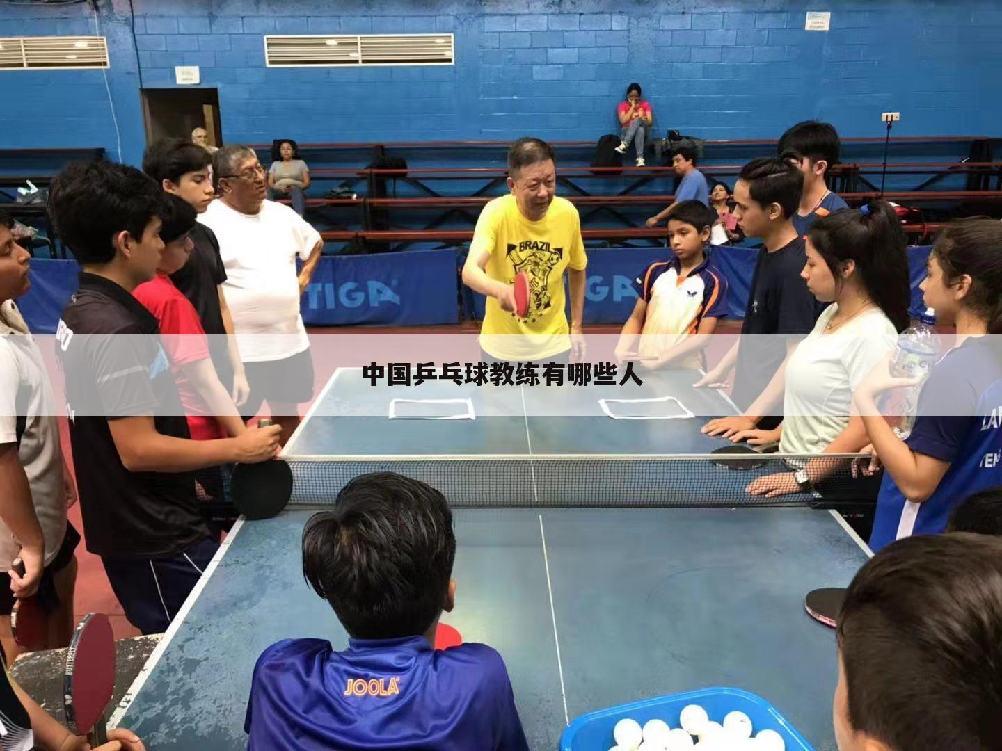 中国乒乓球教练有哪些人