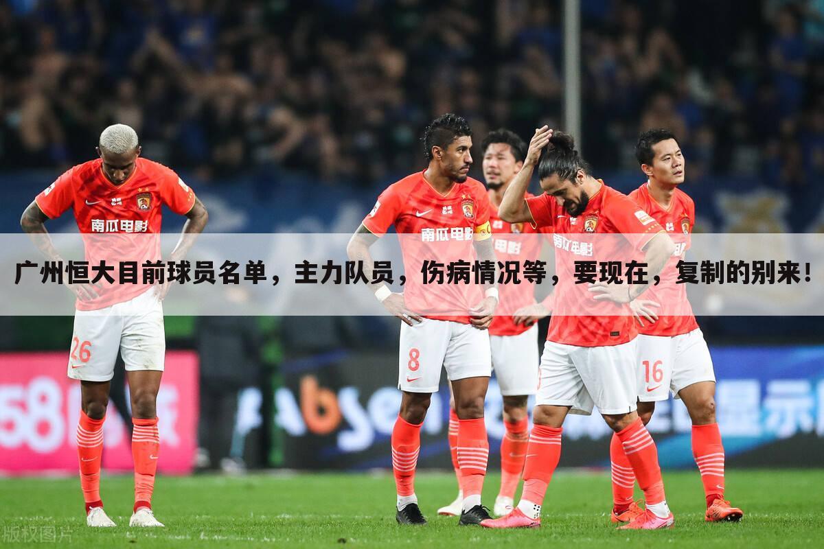 广州恒大目前球员名单，主力队员，伤病情况等，要现在，复制的别来！