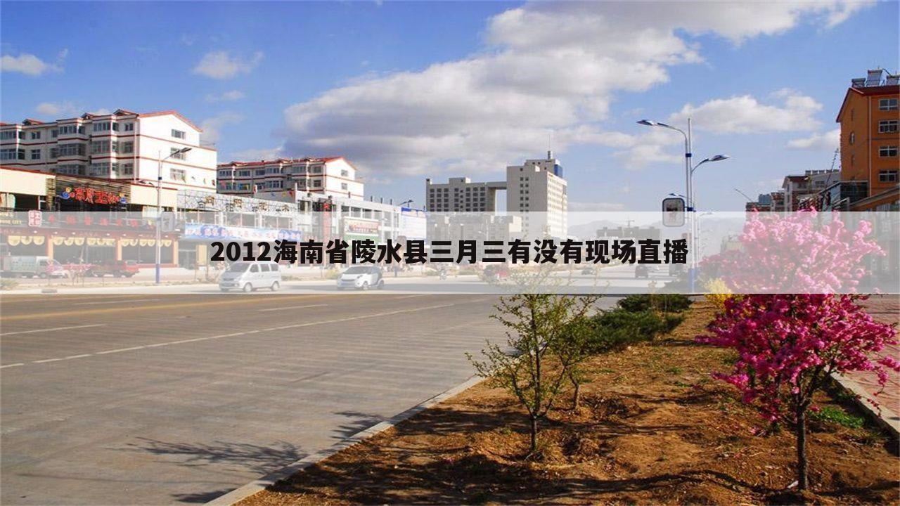 2012海南省陵水县三月三有没有现场直播