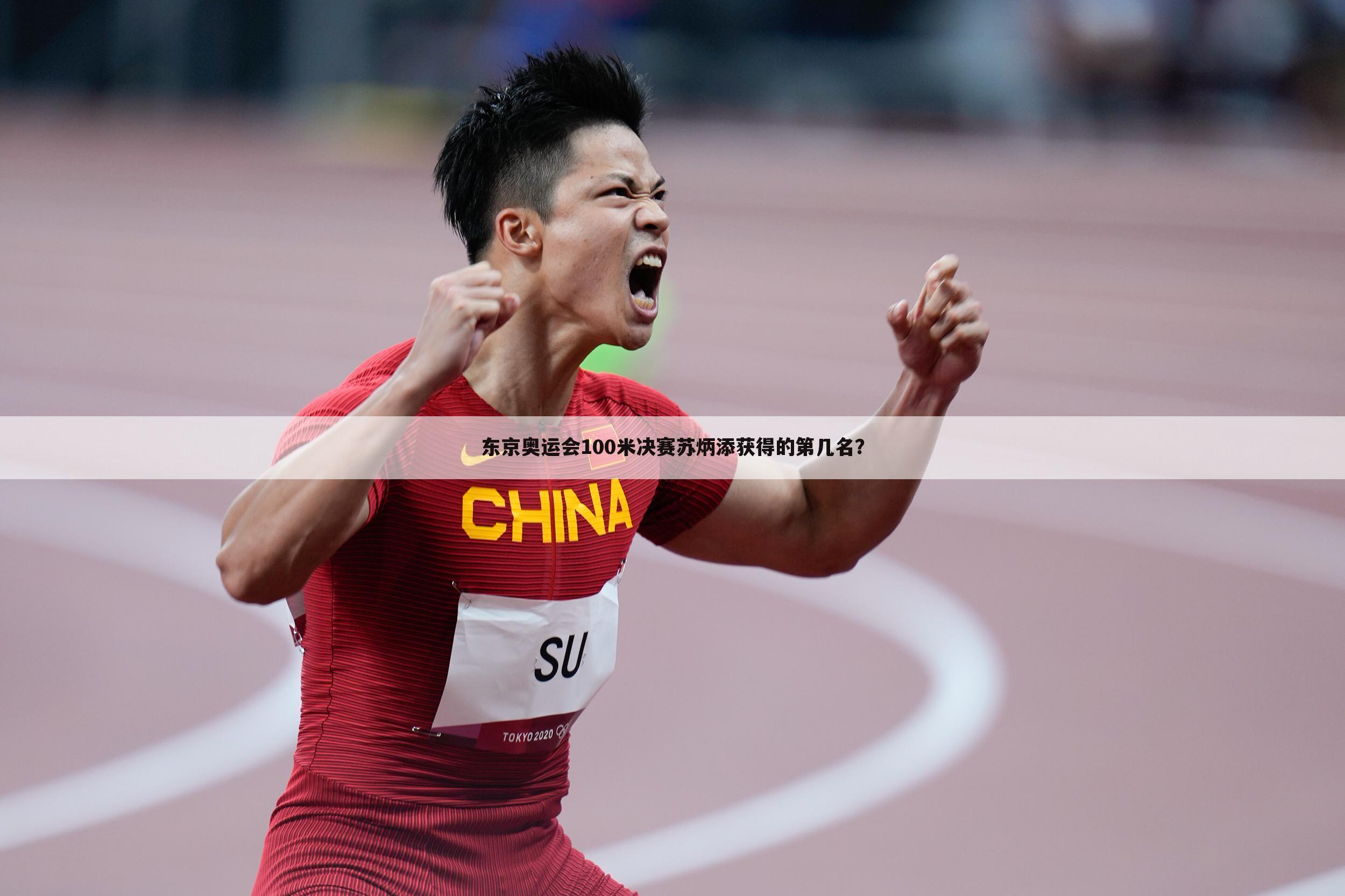 东京奥运会100米决赛苏炳添获得的第几名？