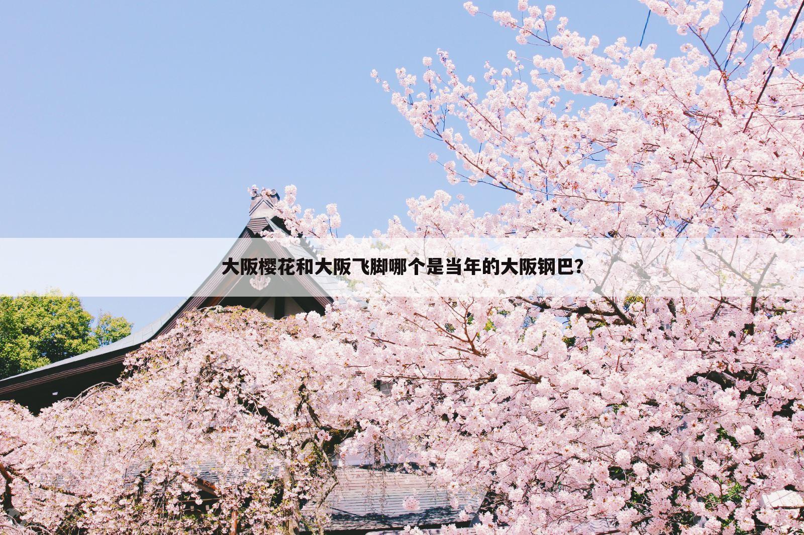 大阪樱花和大阪飞脚哪个是当年的大阪钢巴？