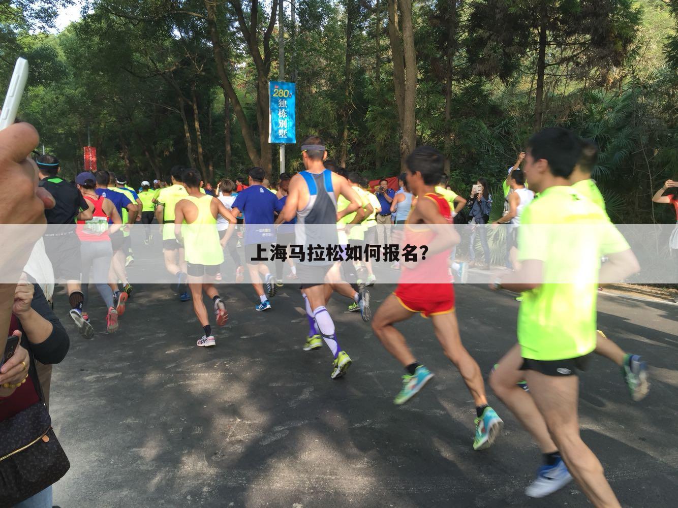 上海马拉松如何报名？