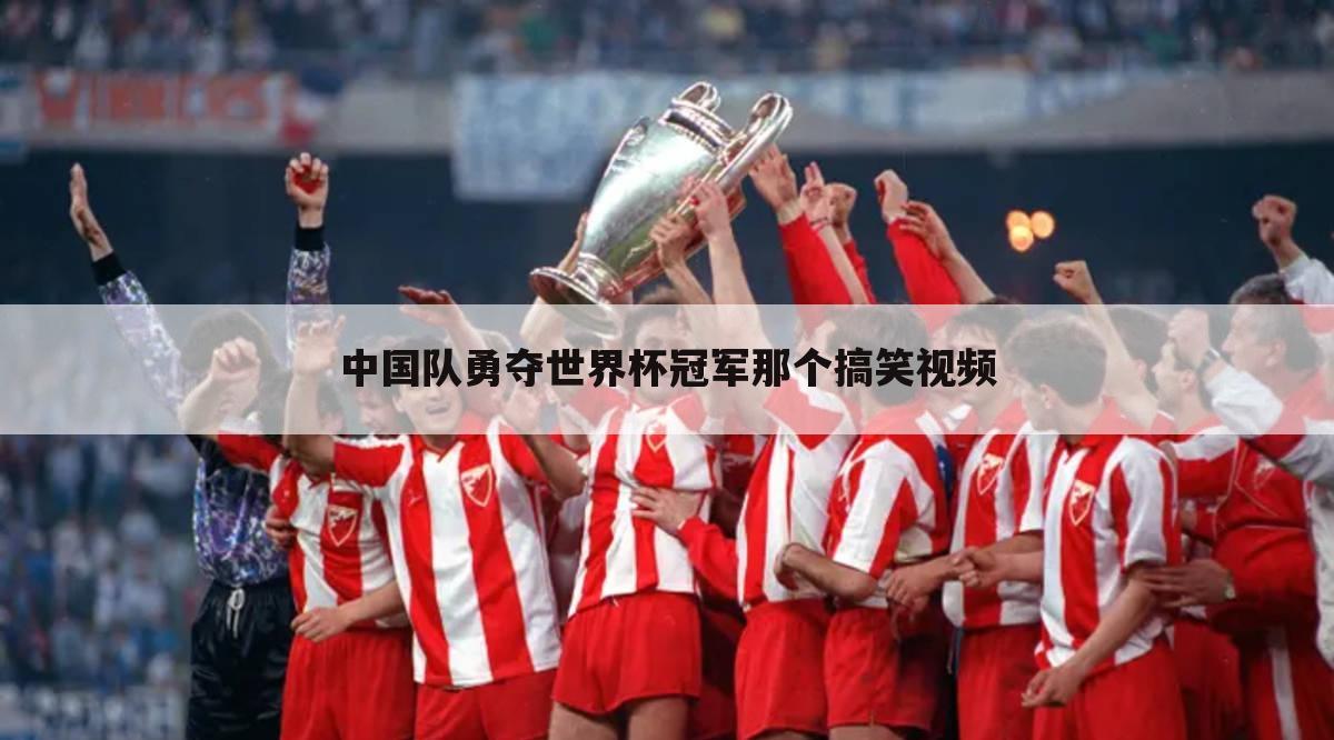中国队勇夺世界杯冠军那个搞笑视频