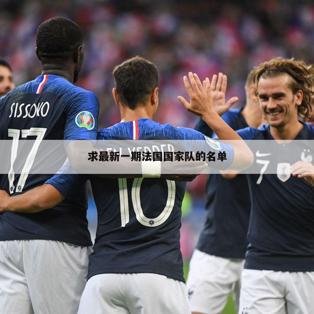 「法国队2021欧洲杯大名单」法国队2021欧洲杯大名单图片