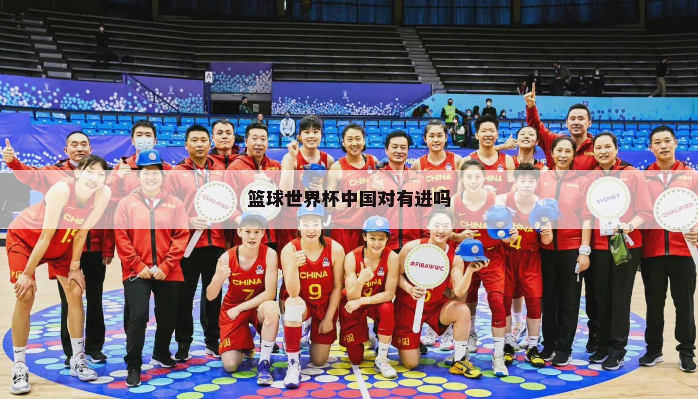 篮球世界杯中国对有进吗
