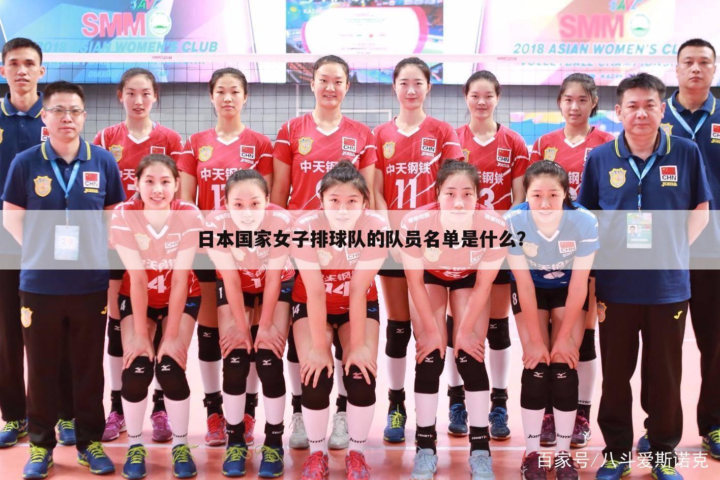 日本国家女子排球队的队员名单是什么？