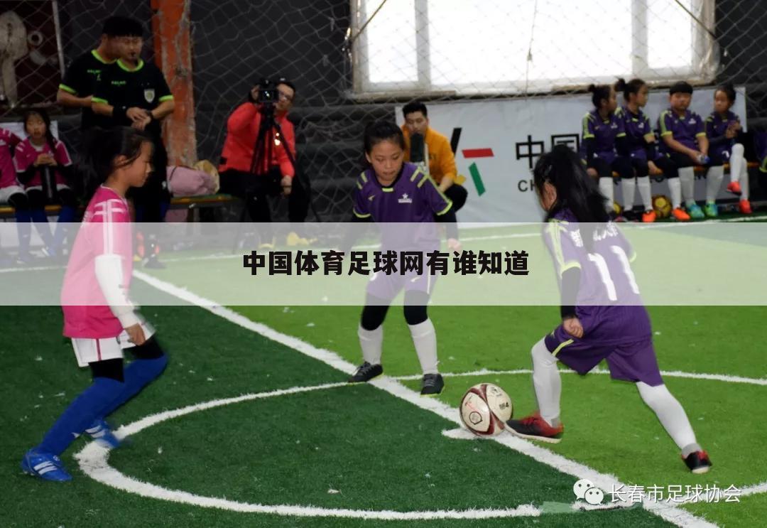 中国体育足球网有谁知道